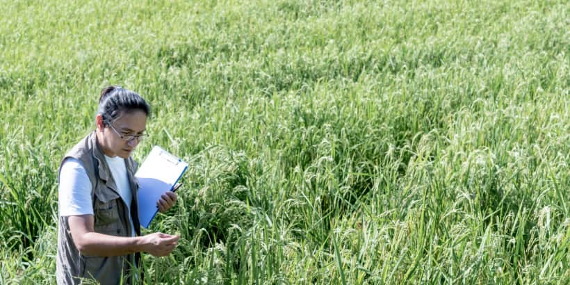 Rural Development Officer
